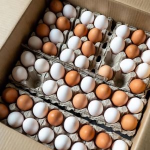 Eggs - 1 Box x 12 Trays